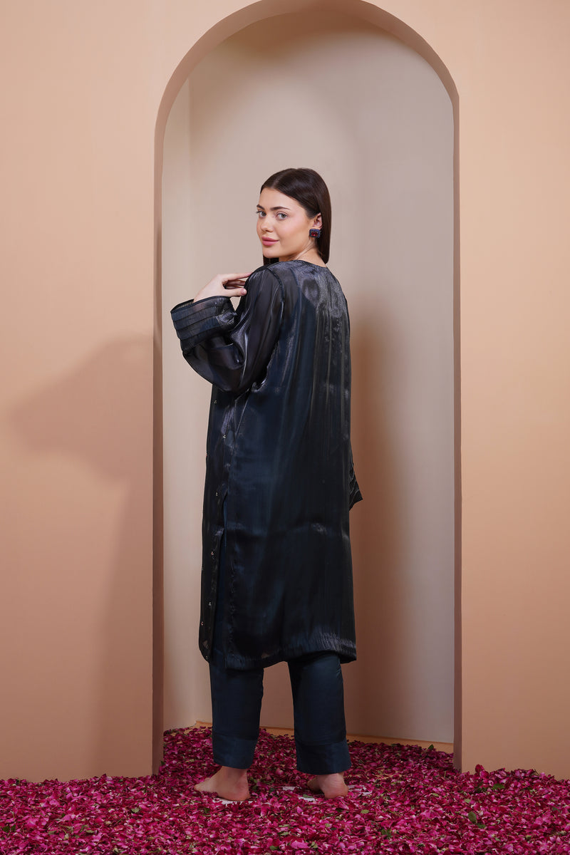 Larkspur Organza Kurta Set