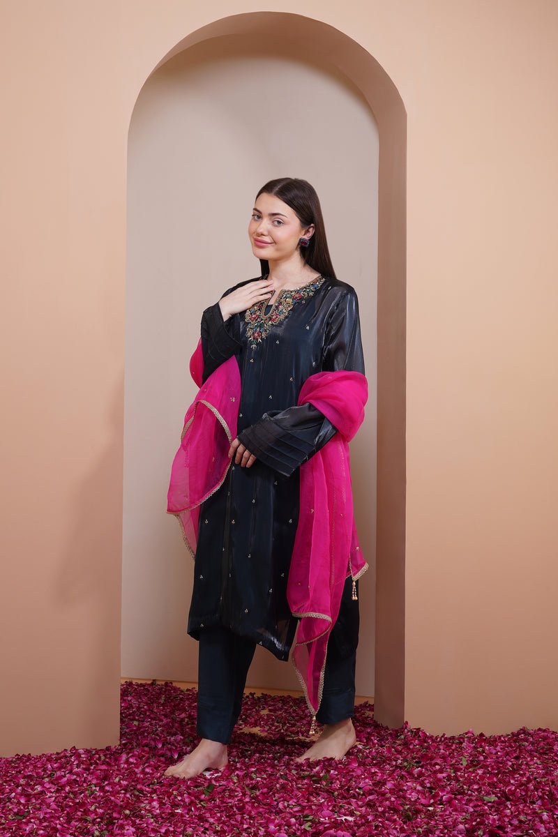 Larkspur Organza Kurta Set