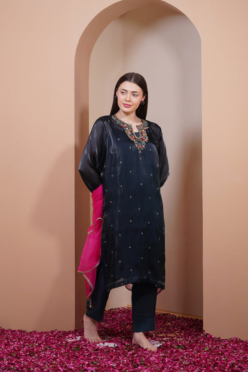 Larkspur Organza Kurta Set