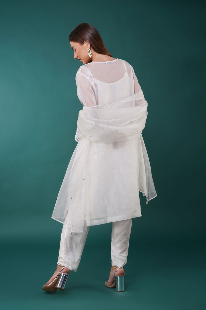 Visteria Organza Kurta Set
