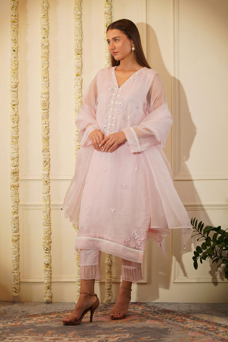 Oleander Organza Kurta Set