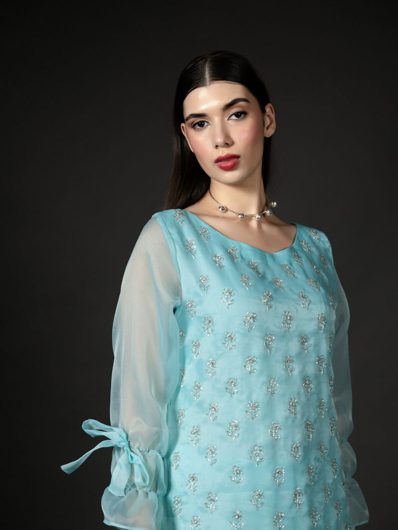 Blue Aster - Organzae