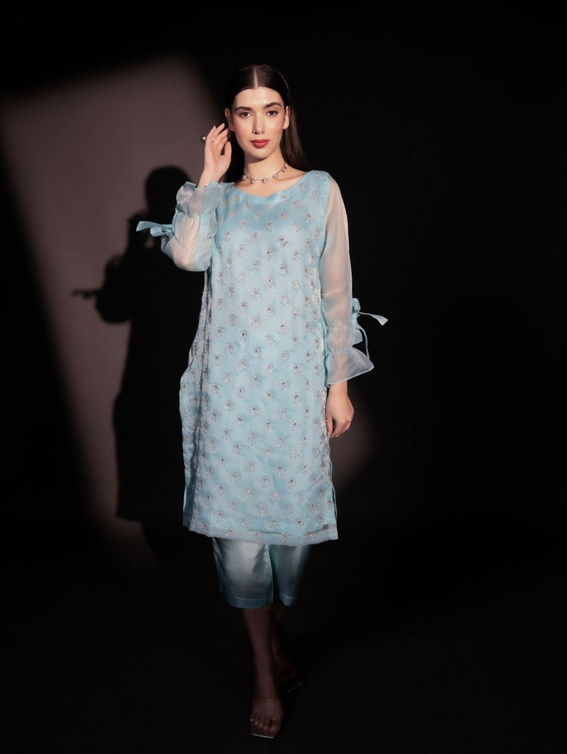 Blue Aster - Organzae