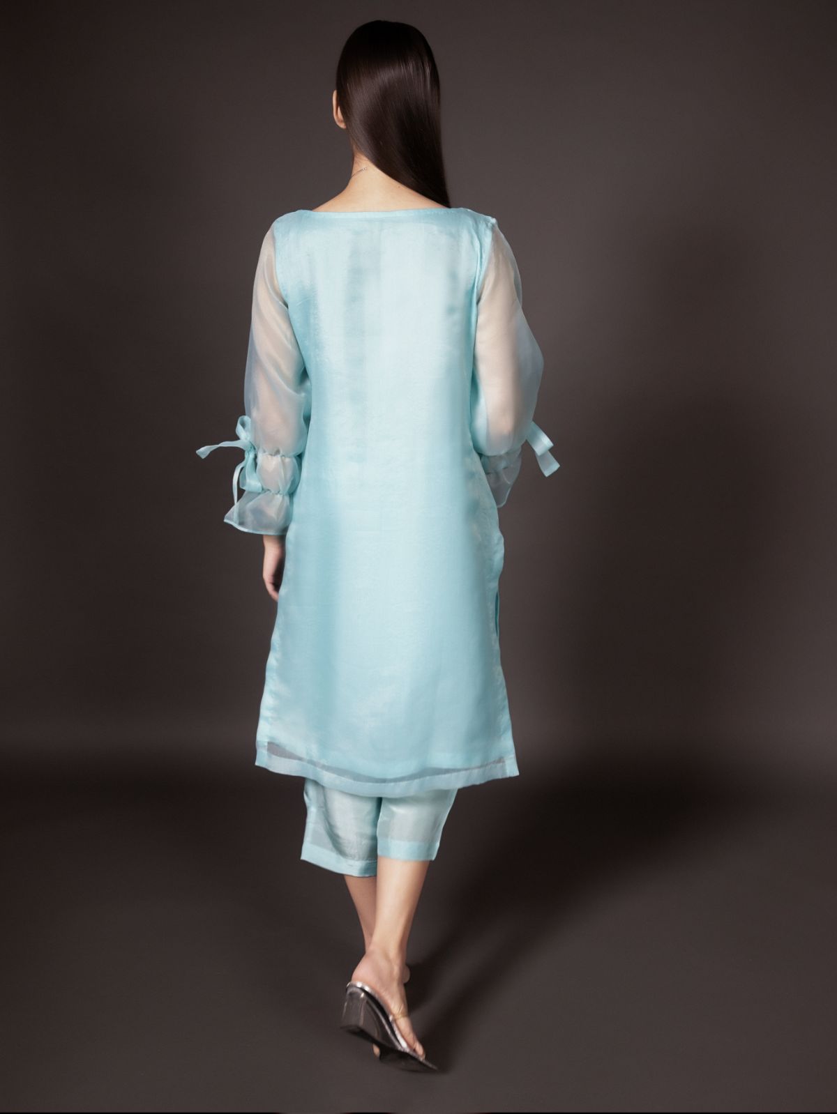 Blue Aster - Organzae