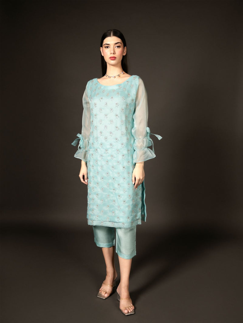 Blue Aster - Organzae