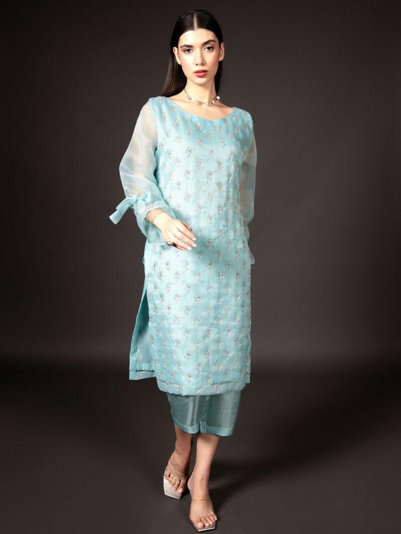 Blue Aster - Organzae