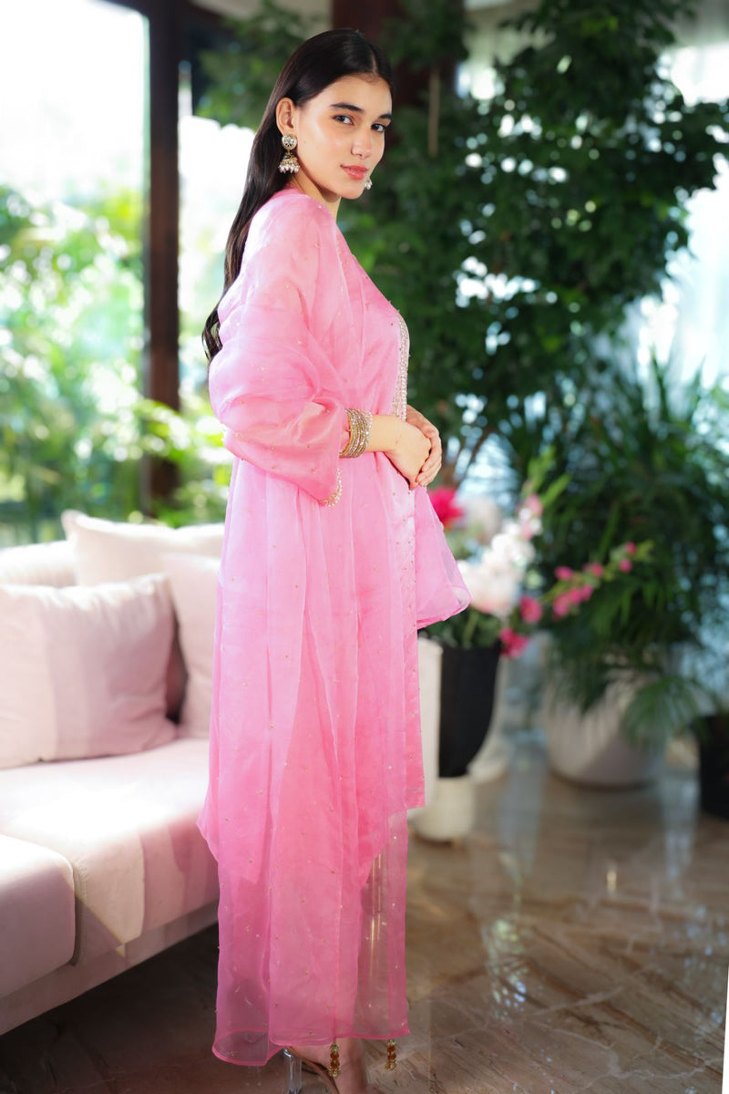 Carnation - Organzae