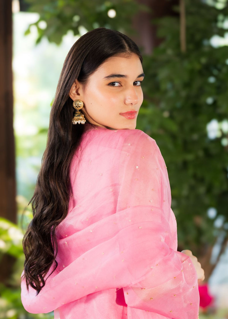 Carnation - Organzae