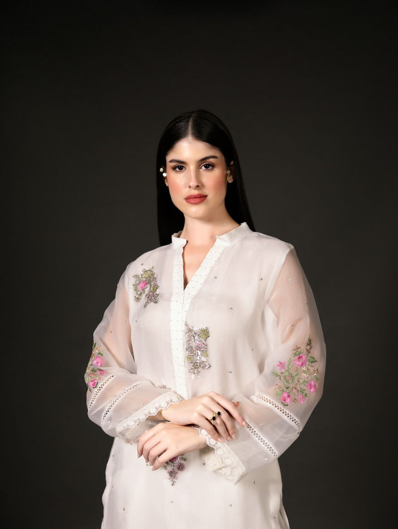 Chrysanthemum - Organzae