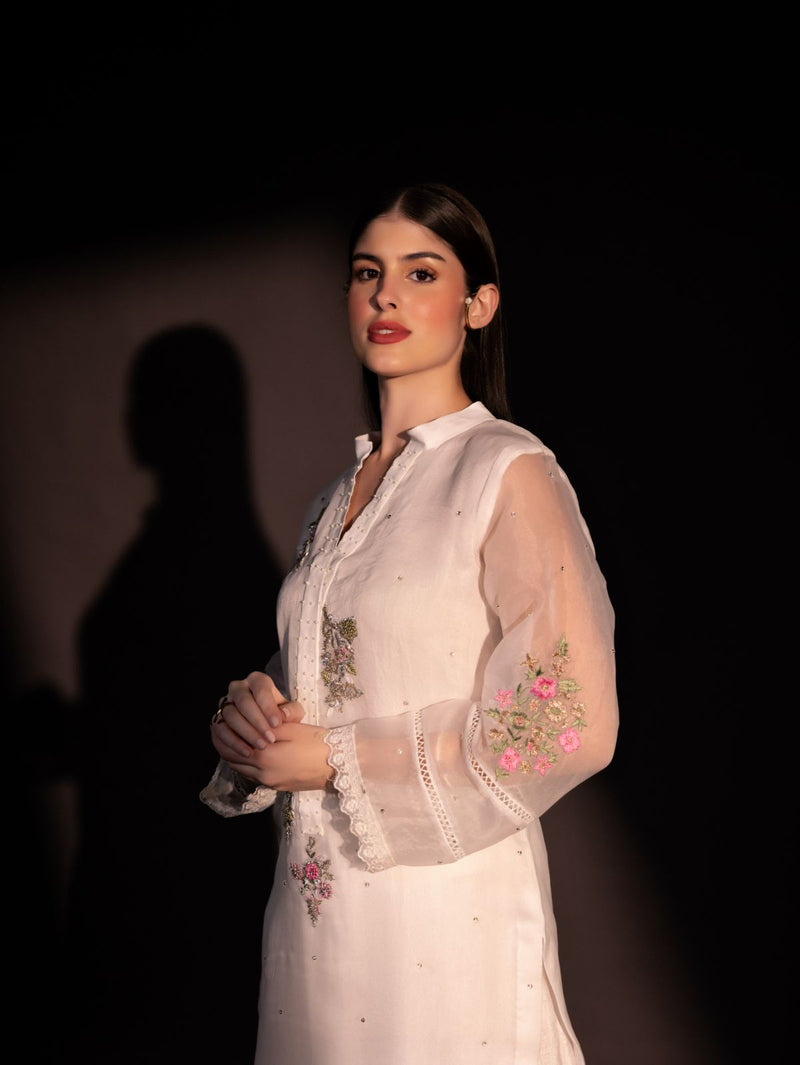 Chrysanthemum - Organzae