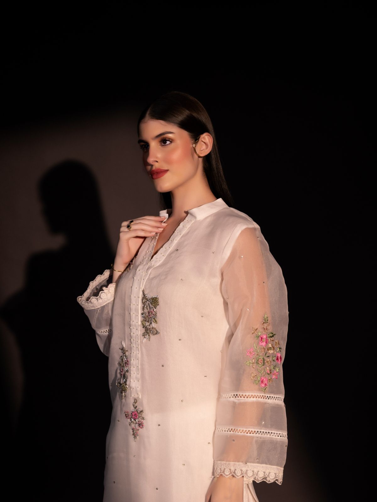 Chrysanthemum - Organzae