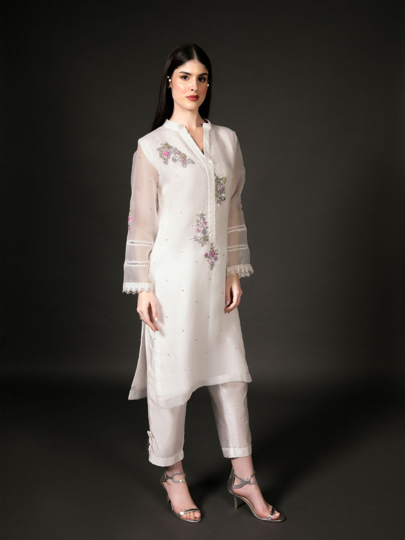 Chrysanthemum - Organzae