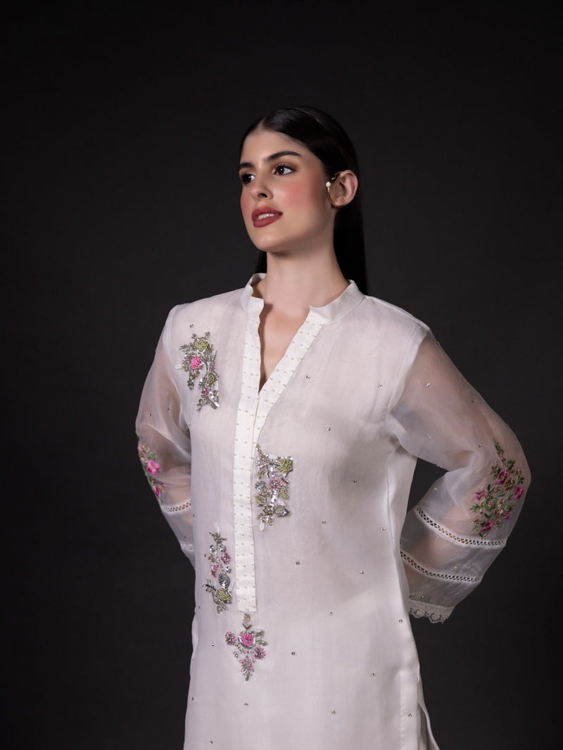 Chrysanthemum - Organzae