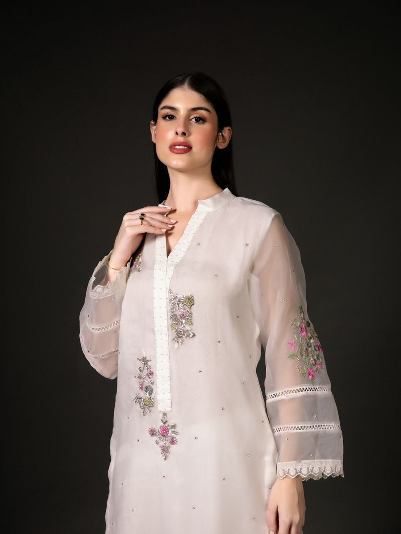 Chrysanthemum - Organzae