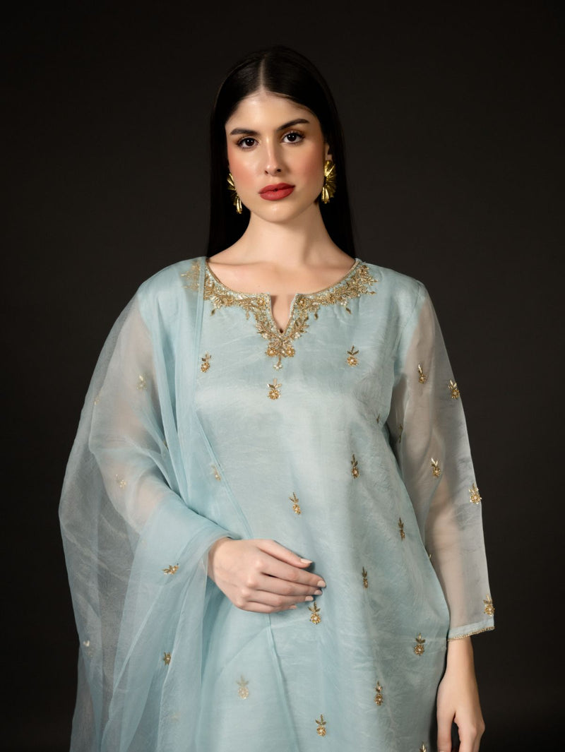 Himalayan Blue - Organzae