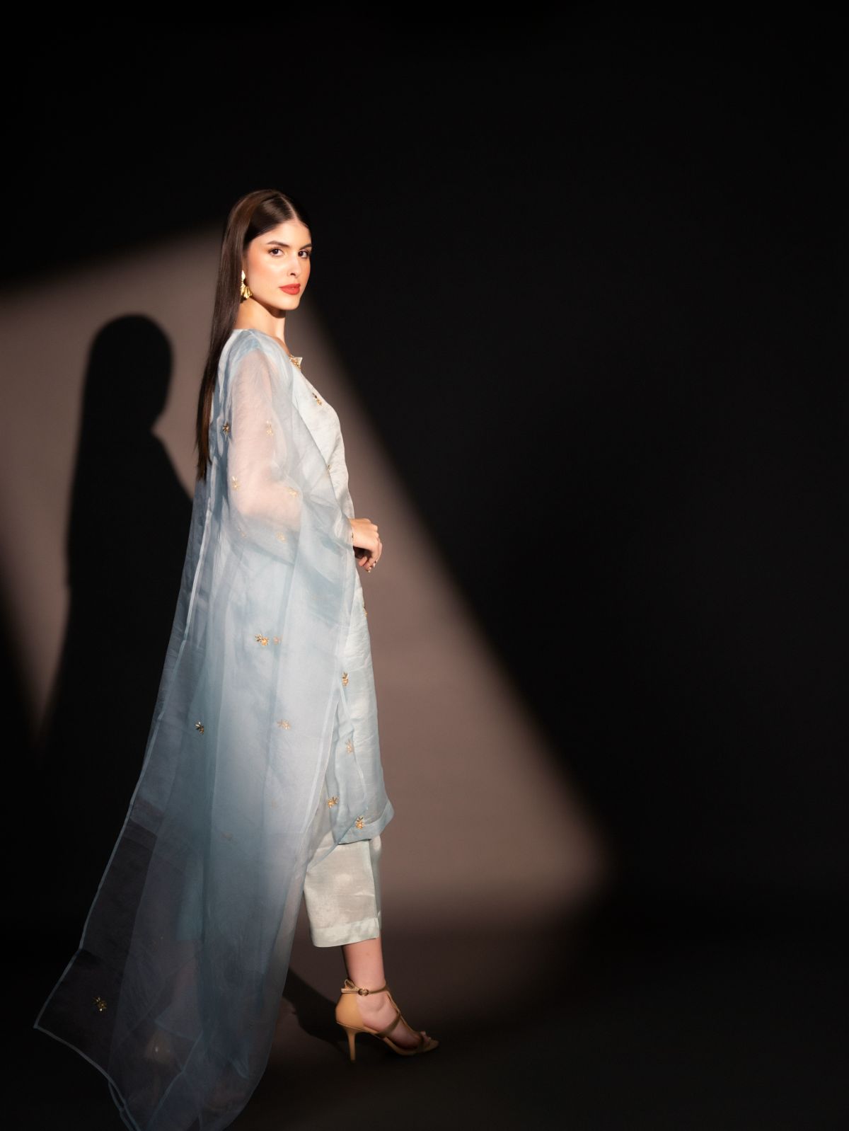 Himalayan Blue - Organzae