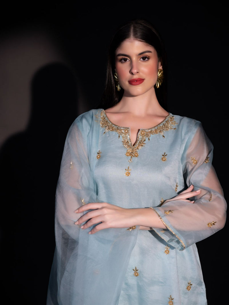 Himalayan Blue - Organzae