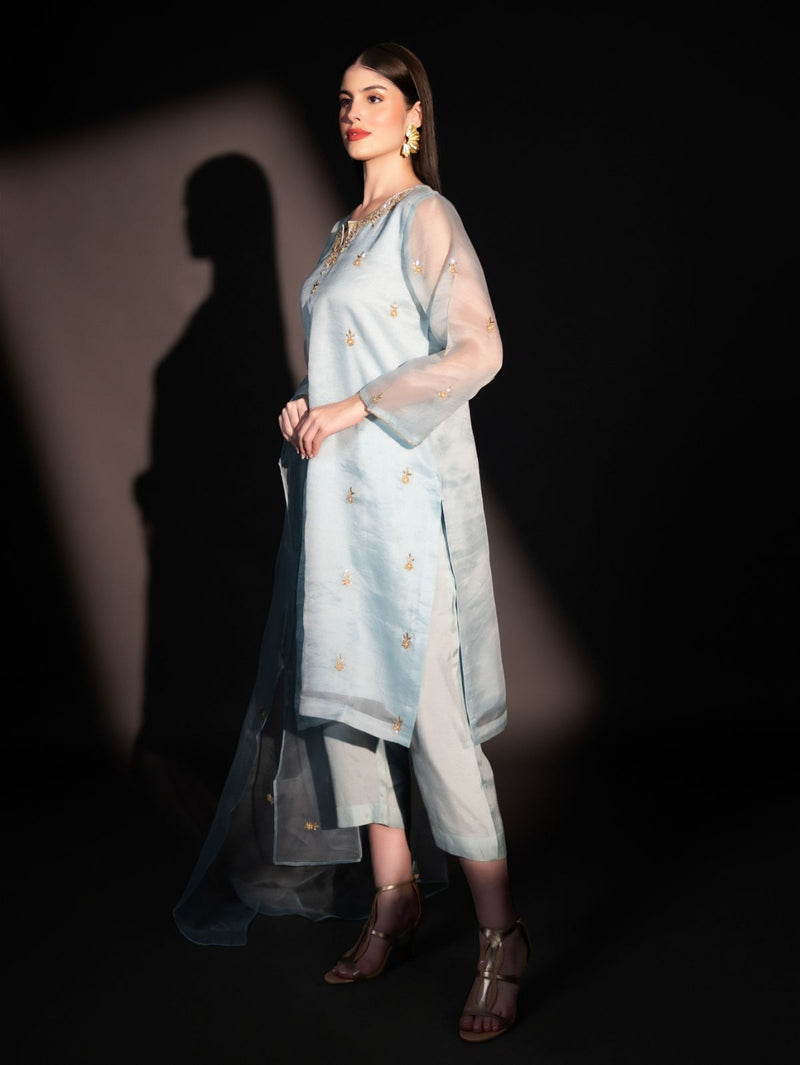 Himalayan Blue - Organzae