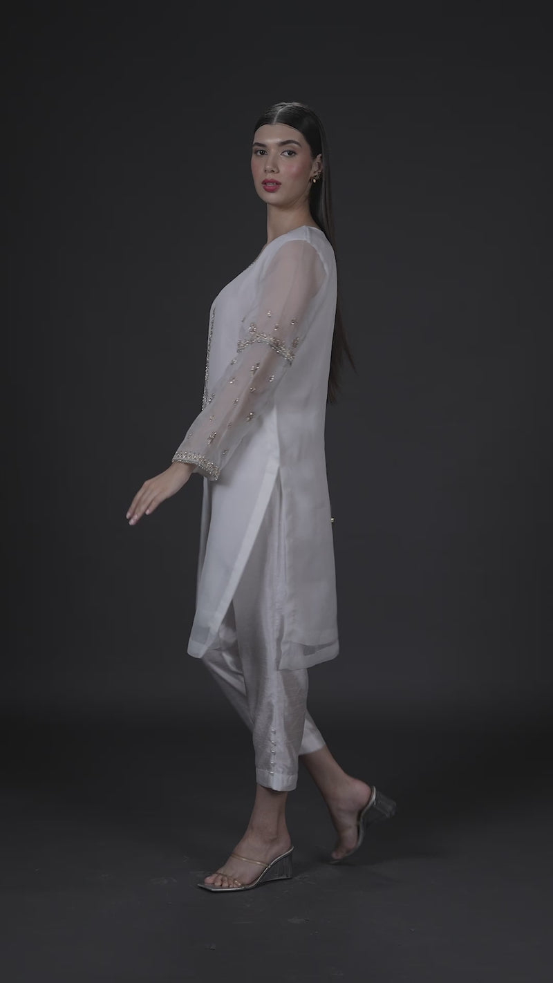 Cosmos Organza Kurta Set